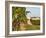 Vineyards, Petit Verdot Vines and Winery, Chateau De La Tour, Bordeaux, France-Per Karlsson-Framed Photographic Print