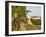 Vineyards, Petit Verdot Vines and Winery, Chateau De La Tour, Bordeaux, France-Per Karlsson-Framed Photographic Print