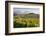 Vineyards, Renwick, Near Blenheim, Marlborough Region, South Island, New Zealand, Pacific-Stuart Black-Framed Photographic Print