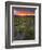 Vineyards, Sancerre, Cher, Loire Valley, Centre, France, Europe-Julian Elliott-Framed Photographic Print