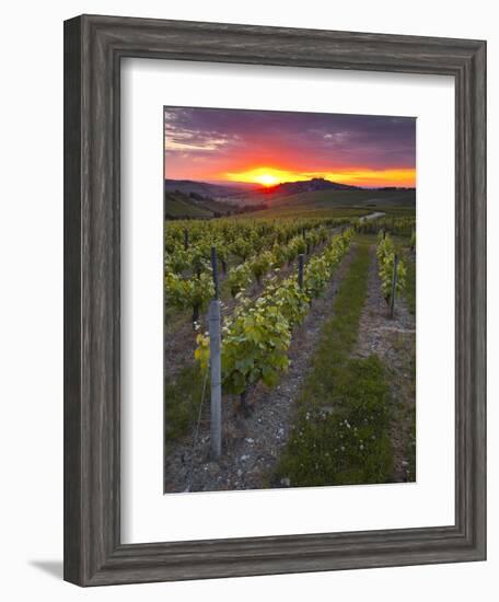 Vineyards, Sancerre, Cher, Loire Valley, Centre, France, Europe-Julian Elliott-Framed Photographic Print