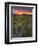 Vineyards, Sancerre, Cher, Loire Valley, Centre, France, Europe-Julian Elliott-Framed Photographic Print