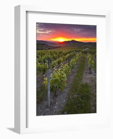 Vineyards, Sancerre, Cher, Loire Valley, Centre, France, Europe-Julian Elliott-Framed Photographic Print