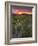 Vineyards, Sancerre, Cher, Loire Valley, Centre, France, Europe-Julian Elliott-Framed Photographic Print