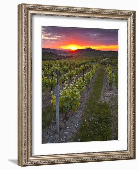 Vineyards, Sancerre, Cher, Loire Valley, Centre, France, Europe-Julian Elliott-Framed Photographic Print