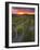 Vineyards, Sancerre, Cher, Loire Valley, Centre, France, Europe-Julian Elliott-Framed Photographic Print