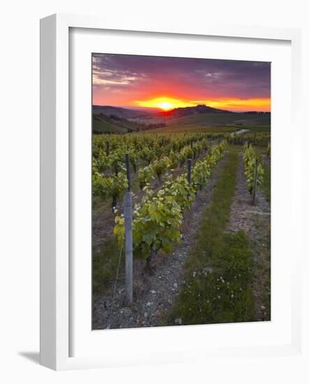 Vineyards, Sancerre, Cher, Loire Valley, Centre, France, Europe-Julian Elliott-Framed Photographic Print