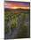 Vineyards, Sancerre, Cher, Loire Valley, Centre, France, Europe-Julian Elliott-Mounted Photographic Print