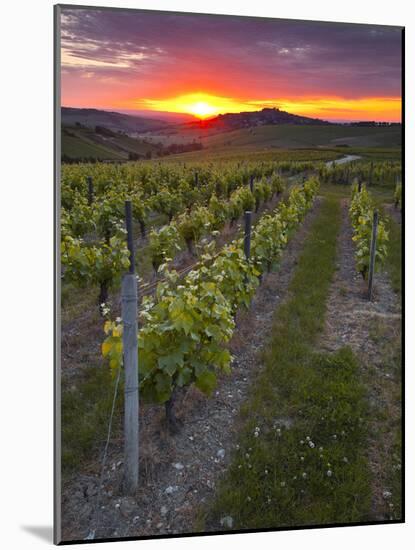 Vineyards, Sancerre, Cher, Loire Valley, Centre, France, Europe-Julian Elliott-Mounted Photographic Print