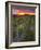 Vineyards, Sancerre, Cher, Loire Valley, Centre, France, Europe-Julian Elliott-Framed Photographic Print