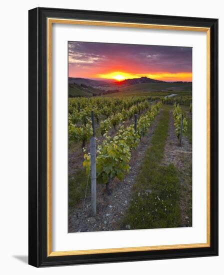 Vineyards, Sancerre, Cher, Loire Valley, Centre, France, Europe-Julian Elliott-Framed Photographic Print