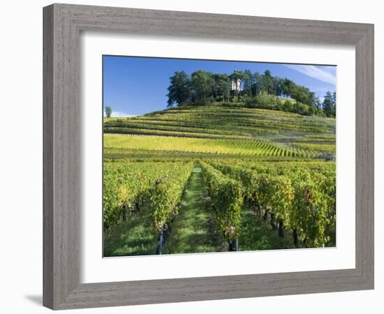 Vineyards, St. Emilion, Gironde, France, Europe-Robert Cundy-Framed Photographic Print