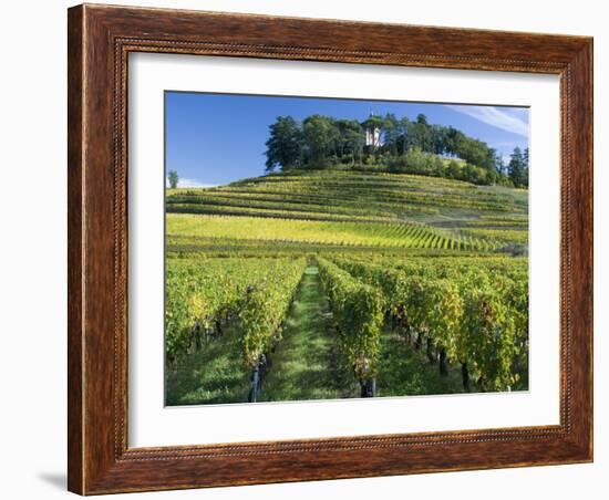 Vineyards, St. Emilion, Gironde, France, Europe-Robert Cundy-Framed Photographic Print