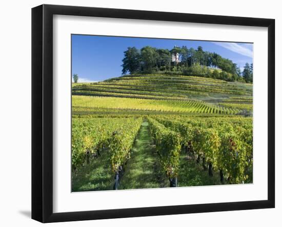 Vineyards, St. Emilion, Gironde, France, Europe-Robert Cundy-Framed Photographic Print