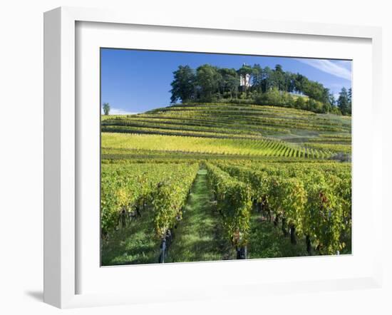 Vineyards, St. Emilion, Gironde, France, Europe-Robert Cundy-Framed Photographic Print