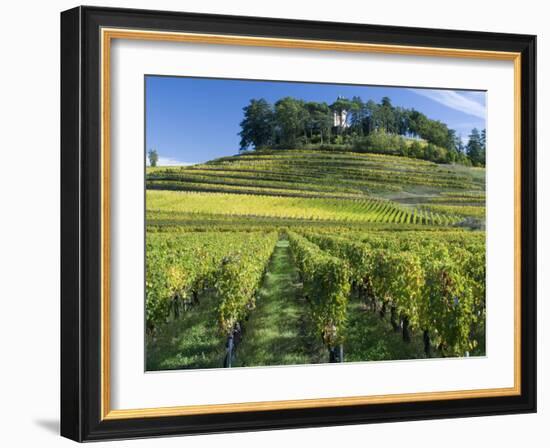 Vineyards, St. Emilion, Gironde, France, Europe-Robert Cundy-Framed Photographic Print