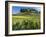 Vineyards, St. Emilion, Gironde, France, Europe-Robert Cundy-Framed Photographic Print