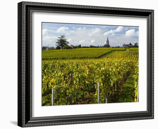 Vineyards, St. Emilion, Gironde, France, Europe-Robert Cundy-Framed Photographic Print