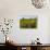Vineyards, St. Emilion, Gironde, France, Europe-Robert Cundy-Photographic Print displayed on a wall