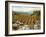 Vineyards to Mount St. Helena-Ellie Freudenstein-Framed Art Print