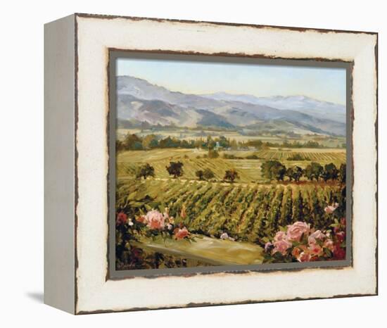 Vineyards to Vaca Mountains-Ellie Freudenstein-Framed Stretched Canvas