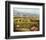 Vineyards to Vaca Mountains-Ellie Freudenstein-Framed Art Print