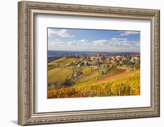 Vineyards, Treiso, Alba, Langhe, Piedmont, Italy-Peter Adams-Framed Photographic Print