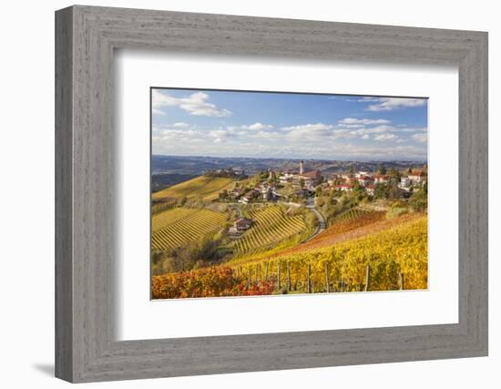 Vineyards, Treiso, Alba, Langhe, Piedmont, Italy-Peter Adams-Framed Photographic Print