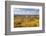 Vineyards, Treiso, Alba, Langhe, Piedmont, Italy-Peter Adams-Framed Photographic Print