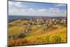 Vineyards, Treiso, Alba, Langhe, Piedmont, Italy-Peter Adams-Mounted Photographic Print