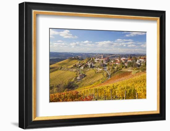 Vineyards, Treiso, Alba, Langhe, Piedmont, Italy-Peter Adams-Framed Photographic Print