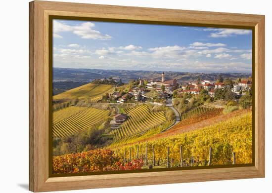 Vineyards, Treiso, Alba, Langhe, Piedmont, Italy-Peter Adams-Framed Premier Image Canvas