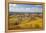 Vineyards, Treiso, Alba, Langhe, Piedmont, Italy-Peter Adams-Framed Premier Image Canvas