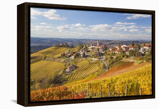 Vineyards, Treiso, Alba, Langhe, Piedmont, Italy-Peter Adams-Framed Premier Image Canvas