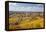 Vineyards, Treiso, Alba, Langhe, Piedmont, Italy-Peter Adams-Framed Premier Image Canvas