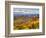 Vineyards, Treiso, Nr Alba, Langhe, Piedmont (or Piemonte or Piedmonte), Italy-Peter Adams-Framed Photographic Print