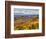 Vineyards, Treiso, Nr Alba, Langhe, Piedmont (or Piemonte or Piedmonte), Italy-Peter Adams-Framed Photographic Print