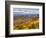 Vineyards, Treiso, Nr Alba, Langhe, Piedmont (or Piemonte or Piedmonte), Italy-Peter Adams-Framed Photographic Print