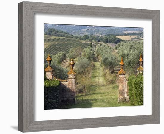 Vineyards, Tuscany, Italy-Adam Jones-Framed Photographic Print