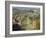 Vineyards, Tuscany, Italy-Adam Jones-Framed Photographic Print