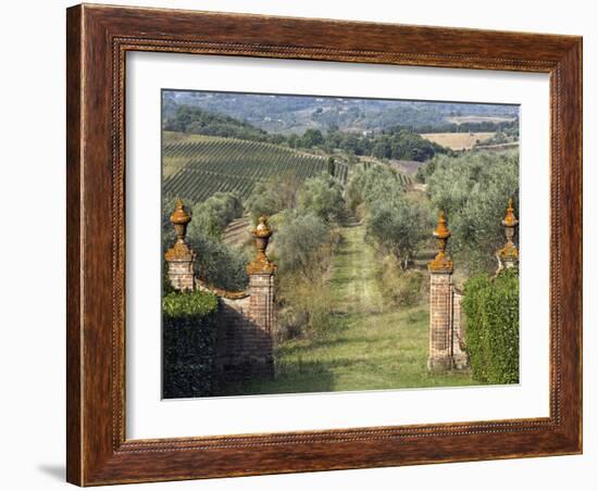 Vineyards, Tuscany, Italy-Adam Jones-Framed Photographic Print