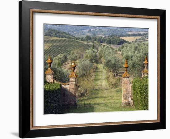 Vineyards, Tuscany, Italy-Adam Jones-Framed Photographic Print