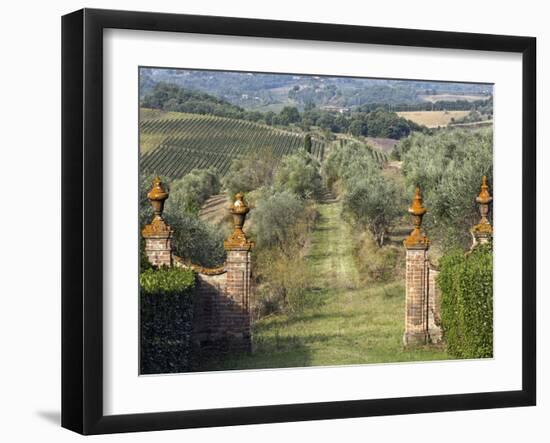 Vineyards, Tuscany, Italy-Adam Jones-Framed Photographic Print