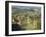 Vineyards, Tuscany, Italy-Adam Jones-Framed Photographic Print