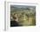 Vineyards, Tuscany, Italy-Adam Jones-Framed Photographic Print