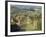 Vineyards, Tuscany, Italy-Adam Jones-Framed Photographic Print