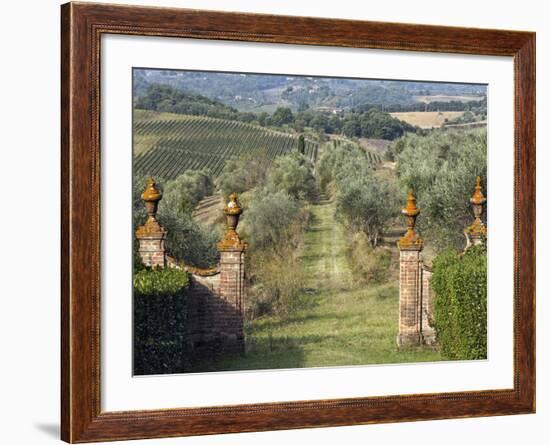 Vineyards, Tuscany, Italy-Adam Jones-Framed Photographic Print