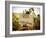 Vineyards-Ian Shive-Framed Photographic Print