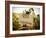 Vineyards-Ian Shive-Framed Photographic Print