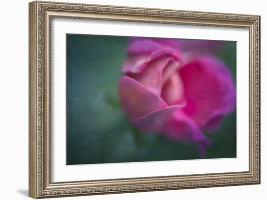 Vining Geranium Bud, Digitally Altered-Rona Schwarz-Framed Photographic Print